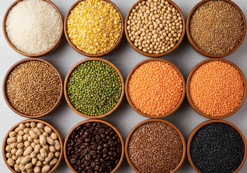 Top Organic Vegetable Exporters In alappey kerala india