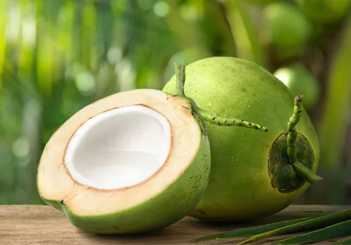 Fresh coconut exporter alappuzha kerala  India