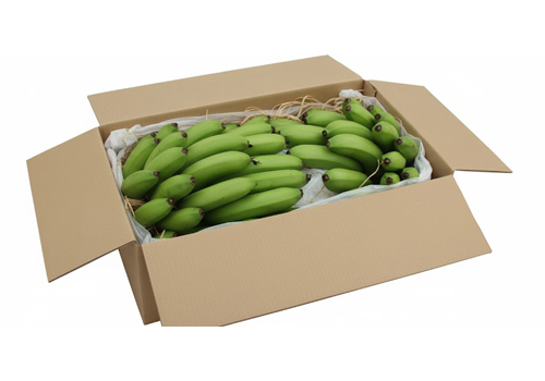 Organic fruit suppliers Alappuzha