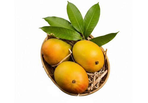 Organic fresh mangoes exporters Kerala